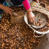 Close up of Moroccan woman hands breaking argan (argania spinosa) kernels in Morocco - photo by Paralaxis