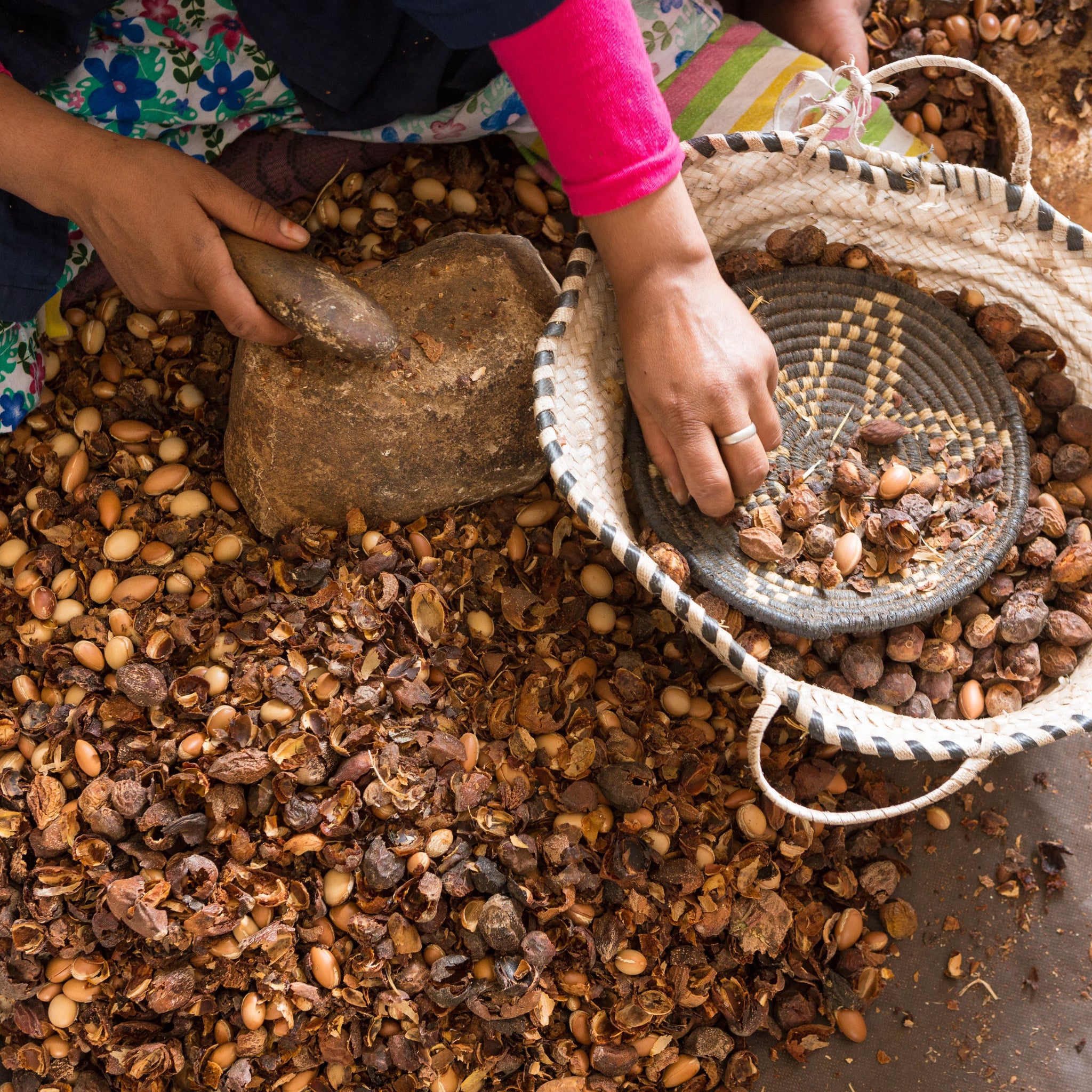 Close up of Moroccan woman hands breaking argan (argania spinosa) kernels in Morocco - photo by Paralaxis