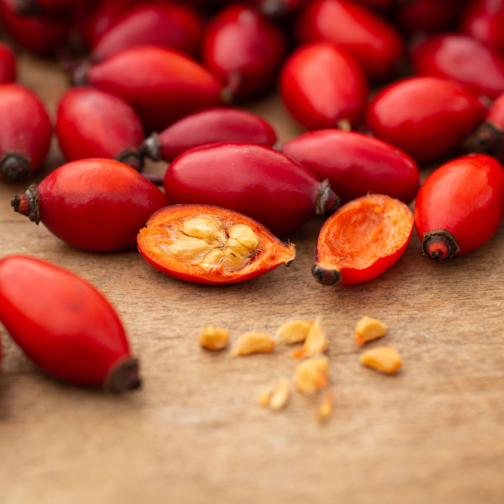 Bright red rose hip (Rosa Canina) fruits with one cut open to display the seeds inside.