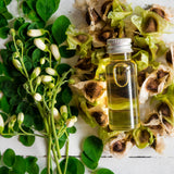 Organic Moringa Plant with flowers, seeds, and moringa oil - photo by Here Asia