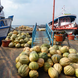 Muskmelons arriving by boat in the Port of Manaus, Amazon.  Photo by Guentermanaus