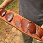 Giant Pracaxi (pentaclethra macroloba) Seeds - a legume in the forested interior of the Brazilian Amazon