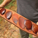 Giant Pracaxi (pentaclethra macroloba) Seeds - a legume in the forested interior of the Brazilian Amazon