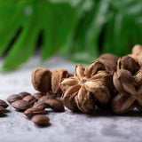 Pile of dried Sacha Inchi Nuts, some with familiar star shaped shells, some shelled