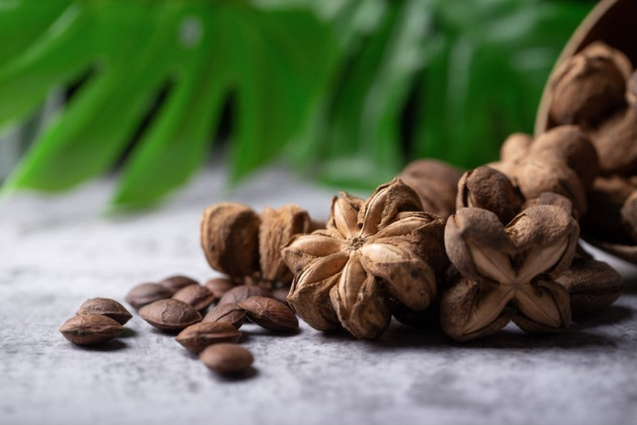 Pile of dried Sacha Inchi Nuts, some with familiar star shaped shells, some shelled