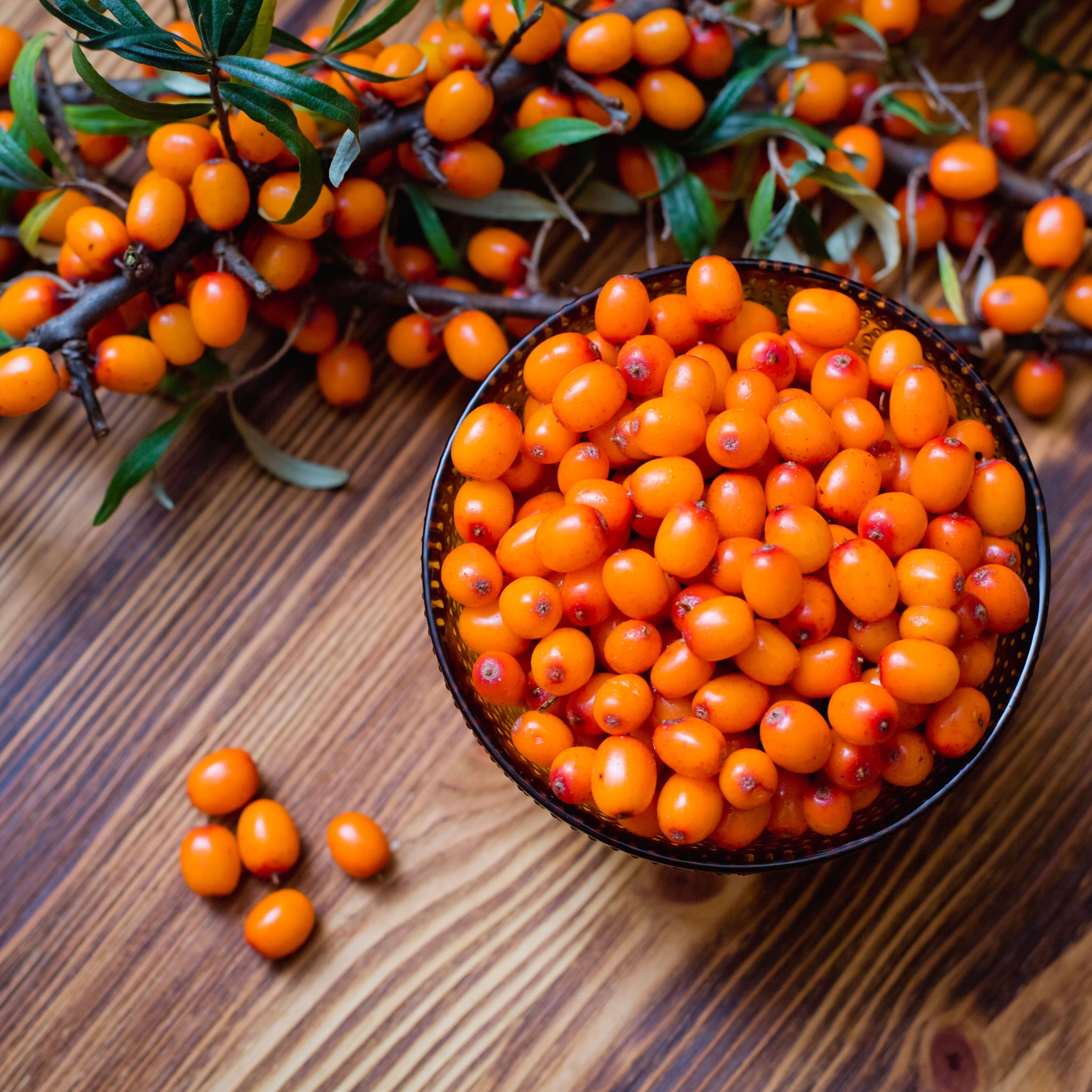 Bright Orange ripened sea buckthorn berries on a vine as well as on a plate with a wooden background.  Photo by TsElena