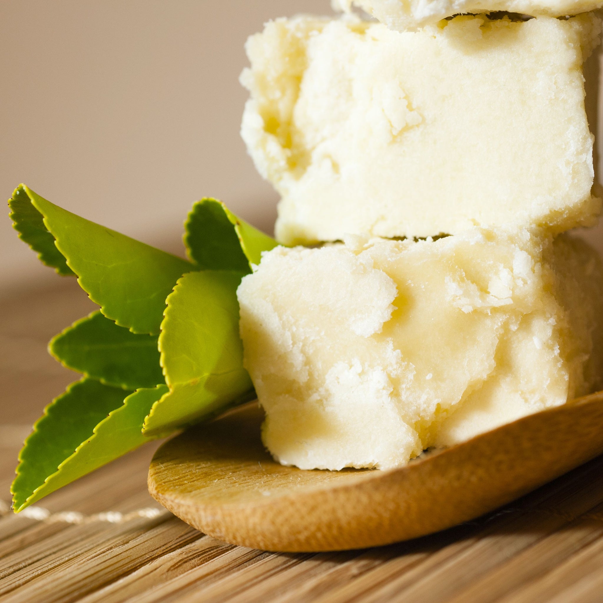 Raw unrefined chunks of Shea Butter on wooden sppon