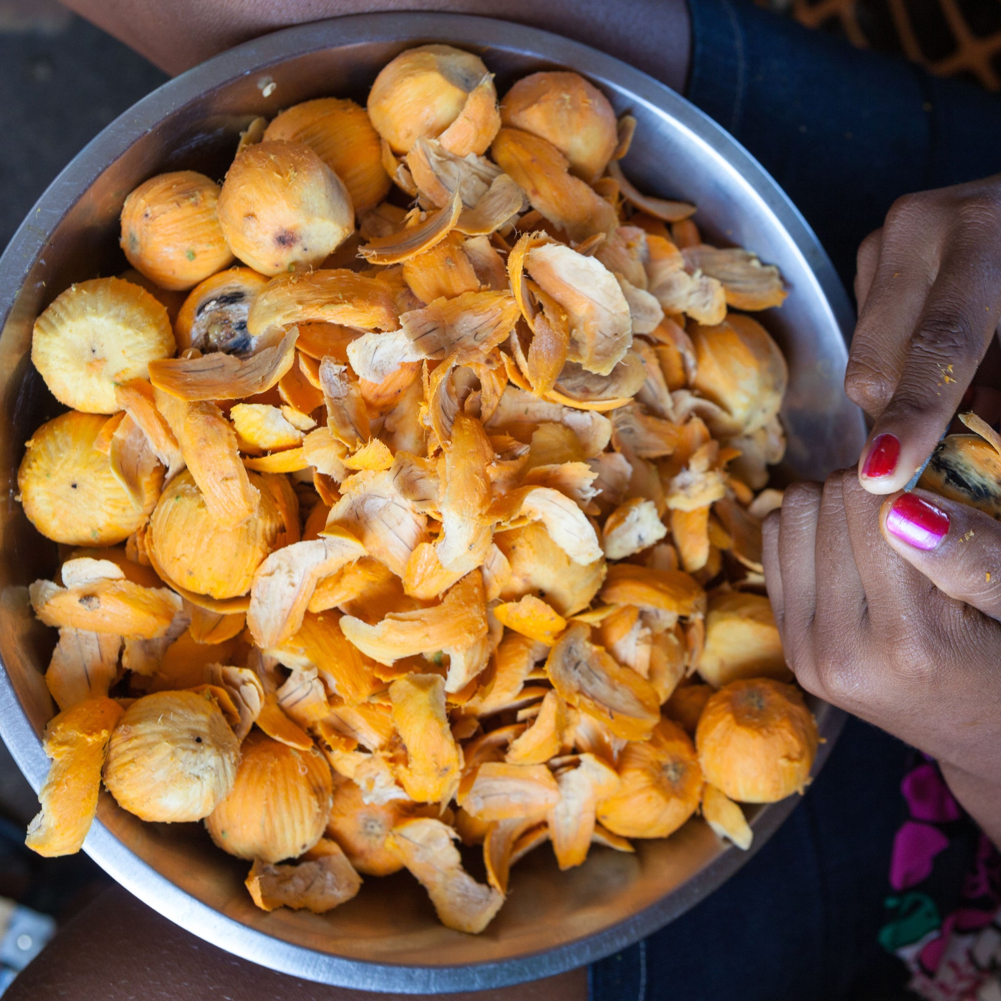 Close up of woman hand peeling Tucuma fruit in metal bowl full of fruit in a market in the Amazon.  Photo by PARALAXIS