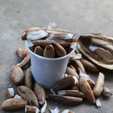 Each Babassu (Orbignya Oleifera) coconut has many kernels and seeds. Opened babacu coconut with multiple kernels displayed in white coffee cup and on table - photo by Raquel dos Reis Costa